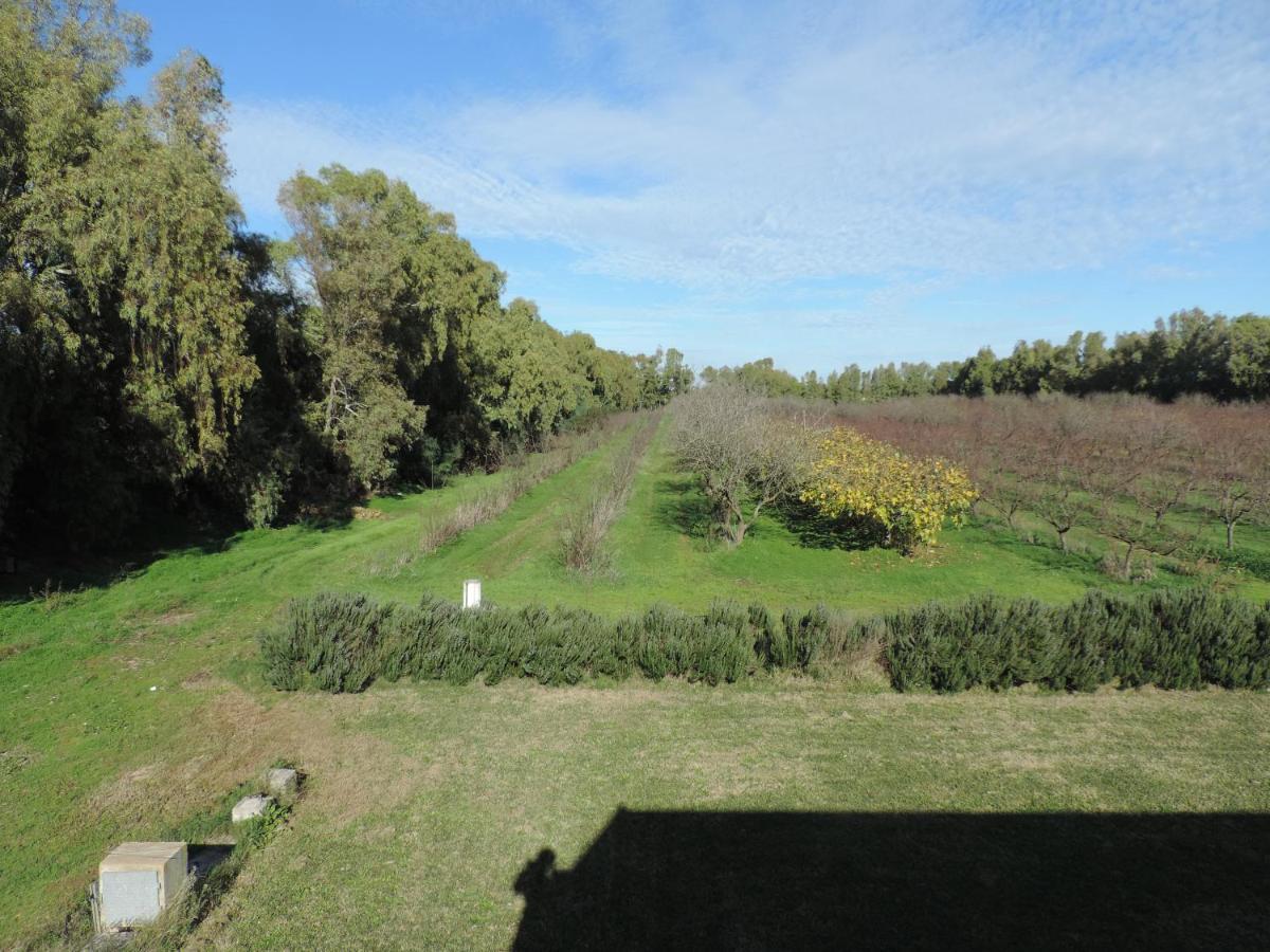 Agriturismo I Doni Del Mandorlo 알게로 외부 사진