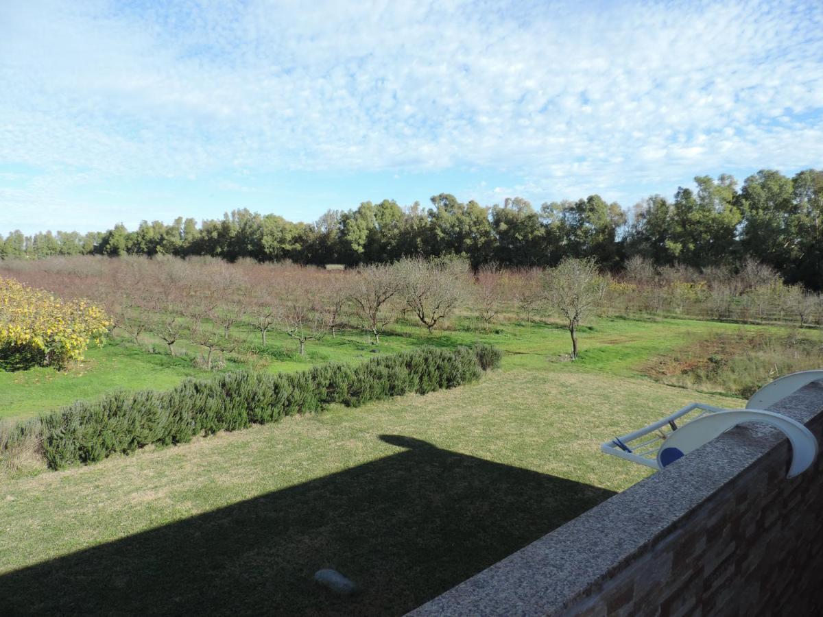 Agriturismo I Doni Del Mandorlo 알게로 외부 사진